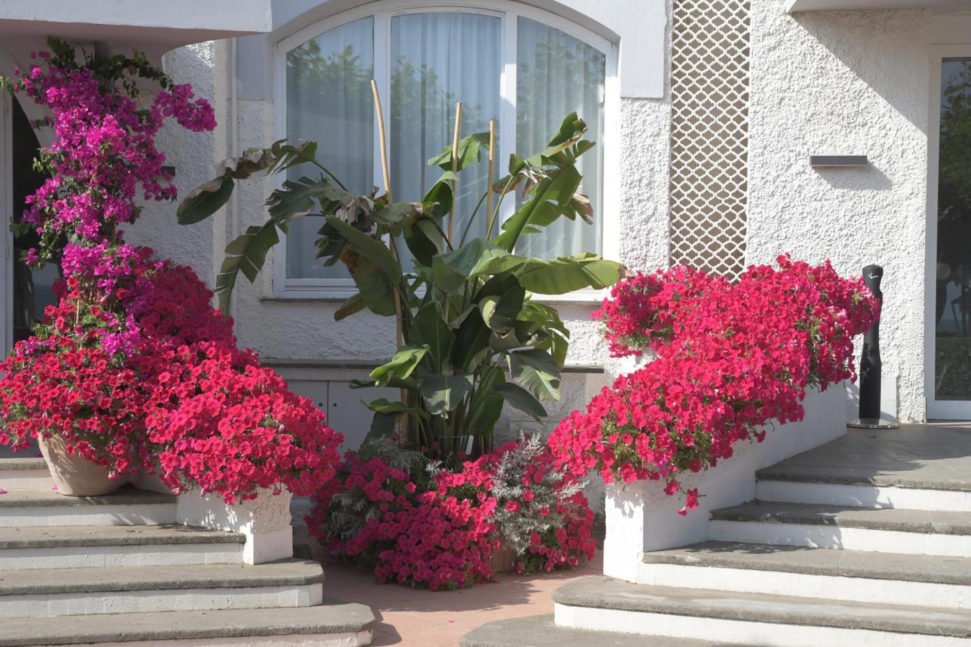 Hotel Bajamar Formia